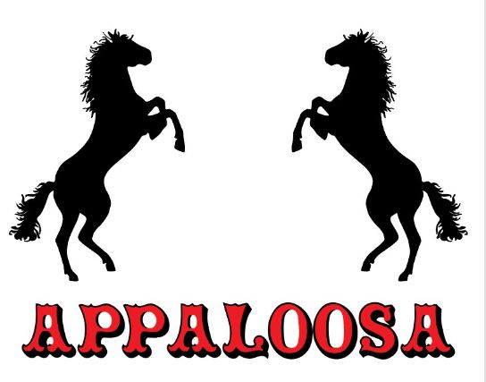 Appaloosa