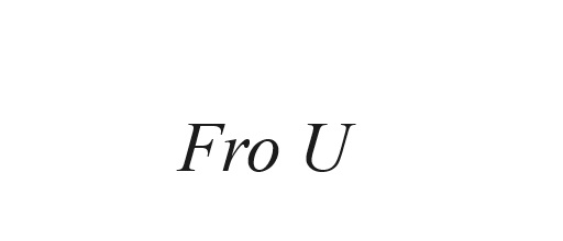 Fro U SARL