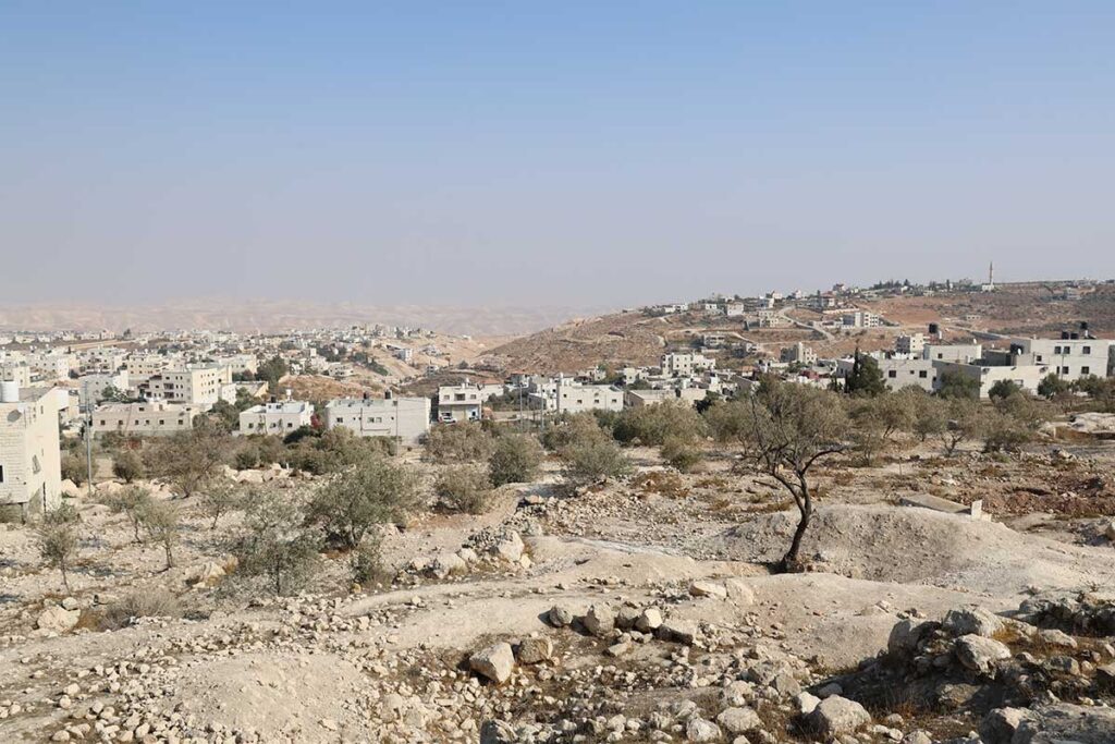 Paesaggio brullo della Palestina con case bianche e una decina di piccoli ulivi