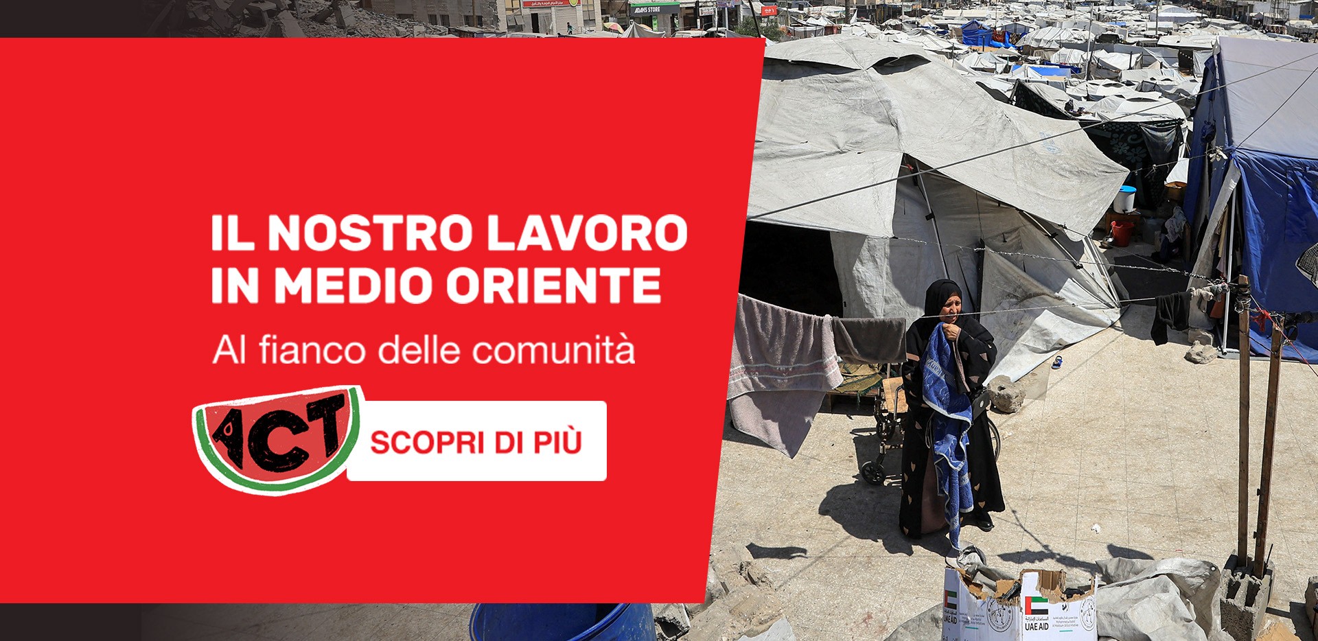 ActionAid | ActionaAid