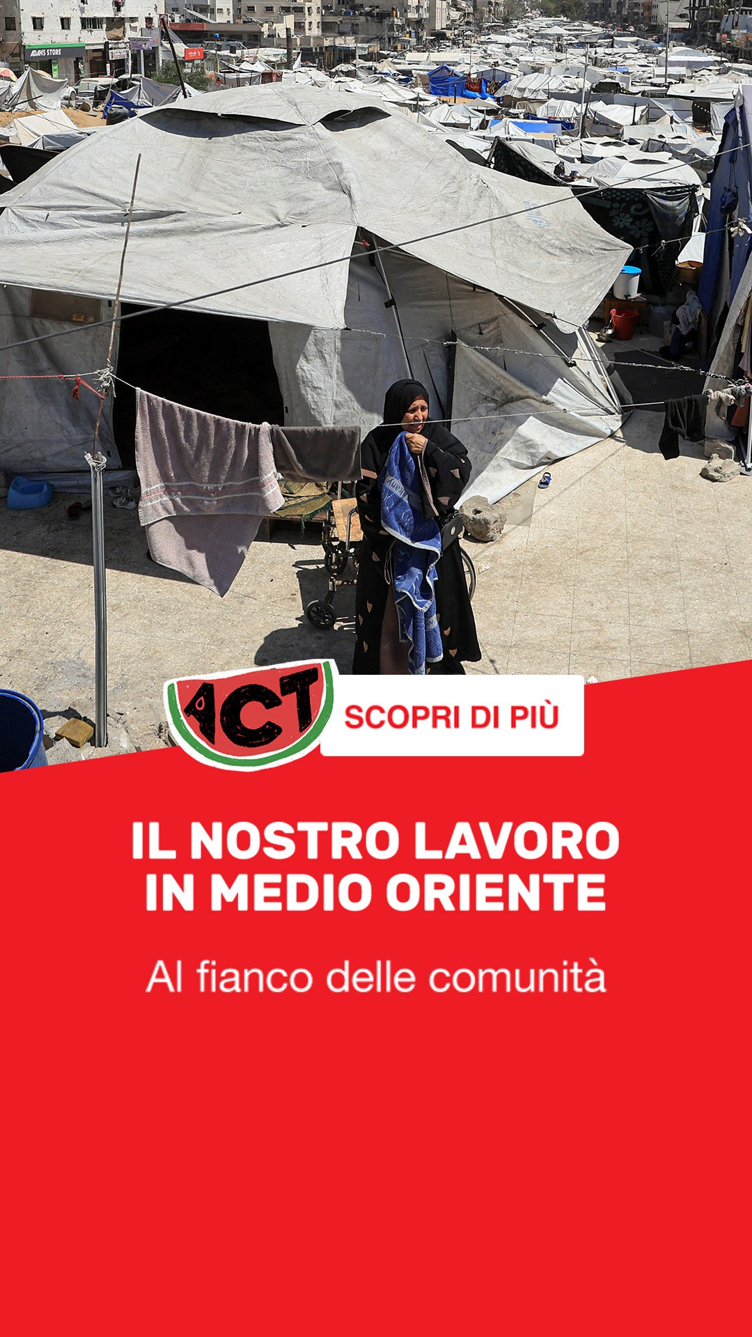 ActionAid | ActionaAid