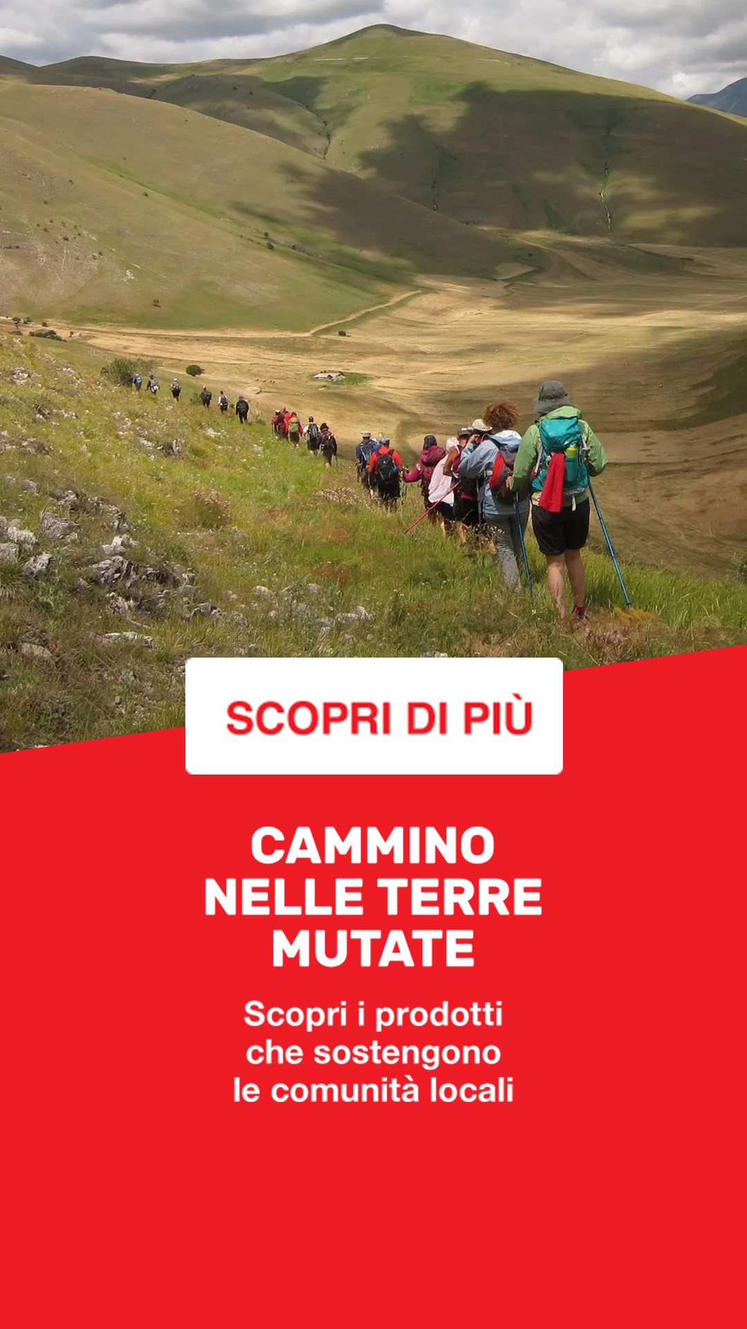 ActionAid | ActionaAid