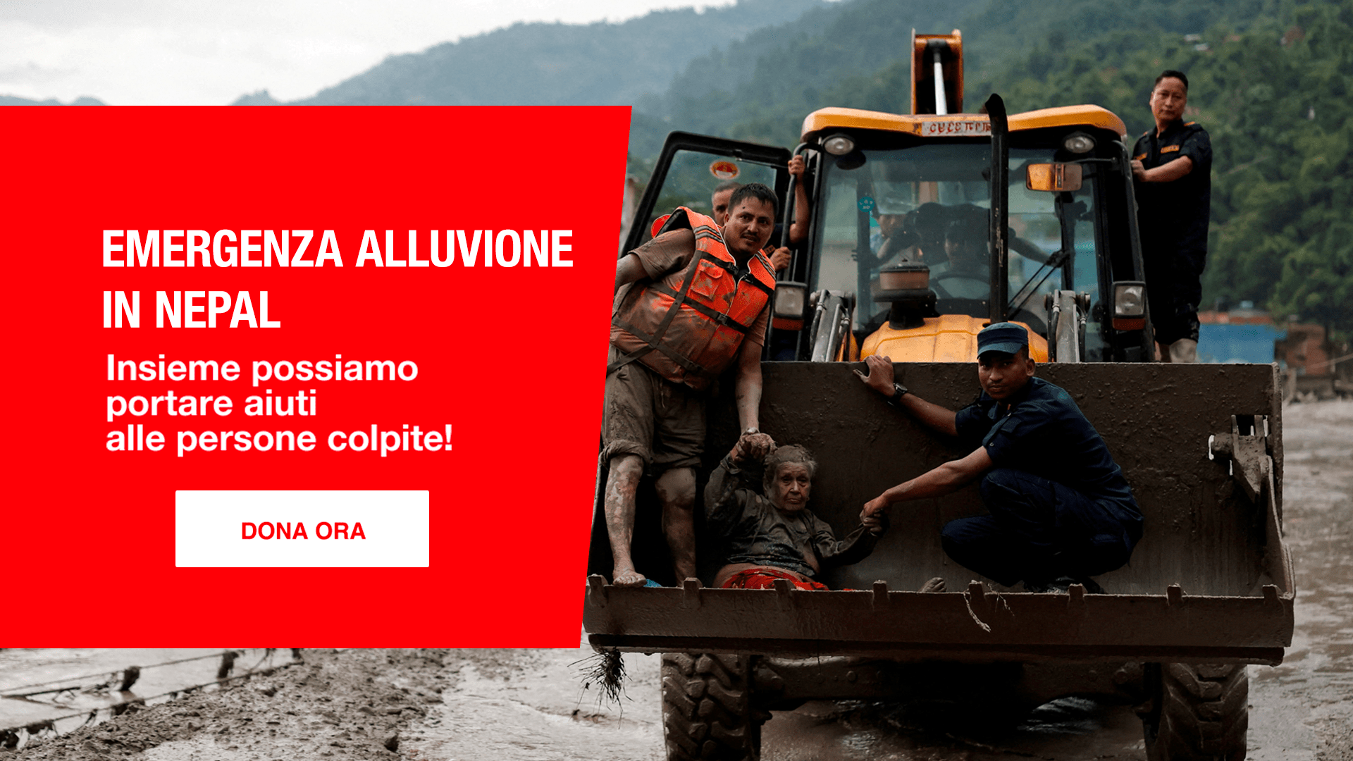 ActionAid | ActionaAid