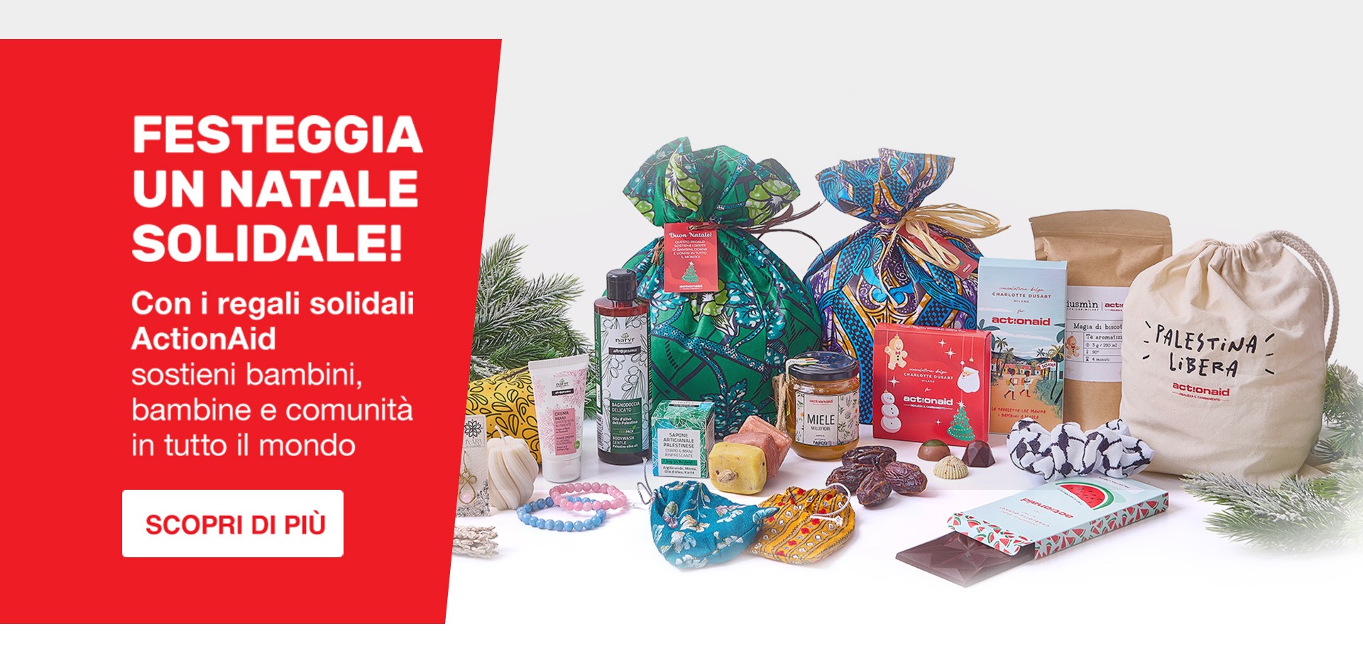 ActionAid | ActionaAid