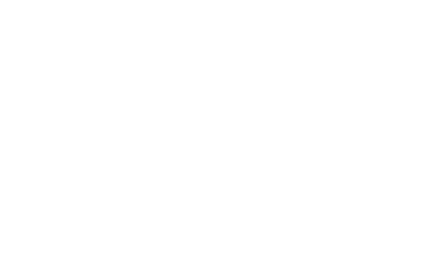 Scaling Up Nutrition