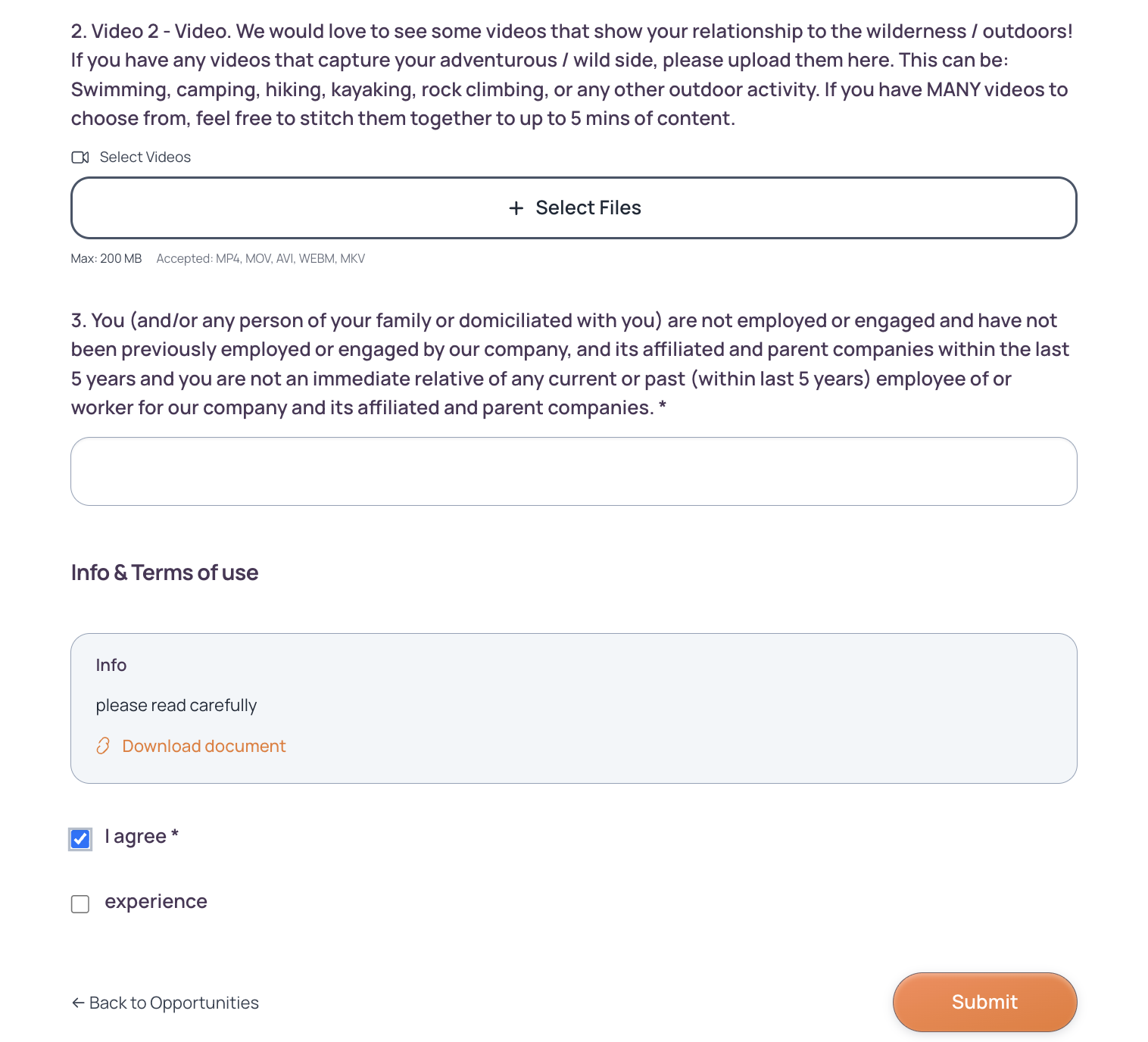 Screenshot of The Pending's custom application form with file uploads, terms agreement, and submission fields.