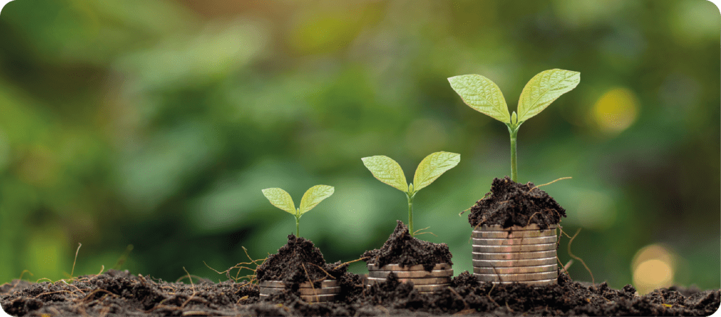 Educación Financiera para Cuidadoras