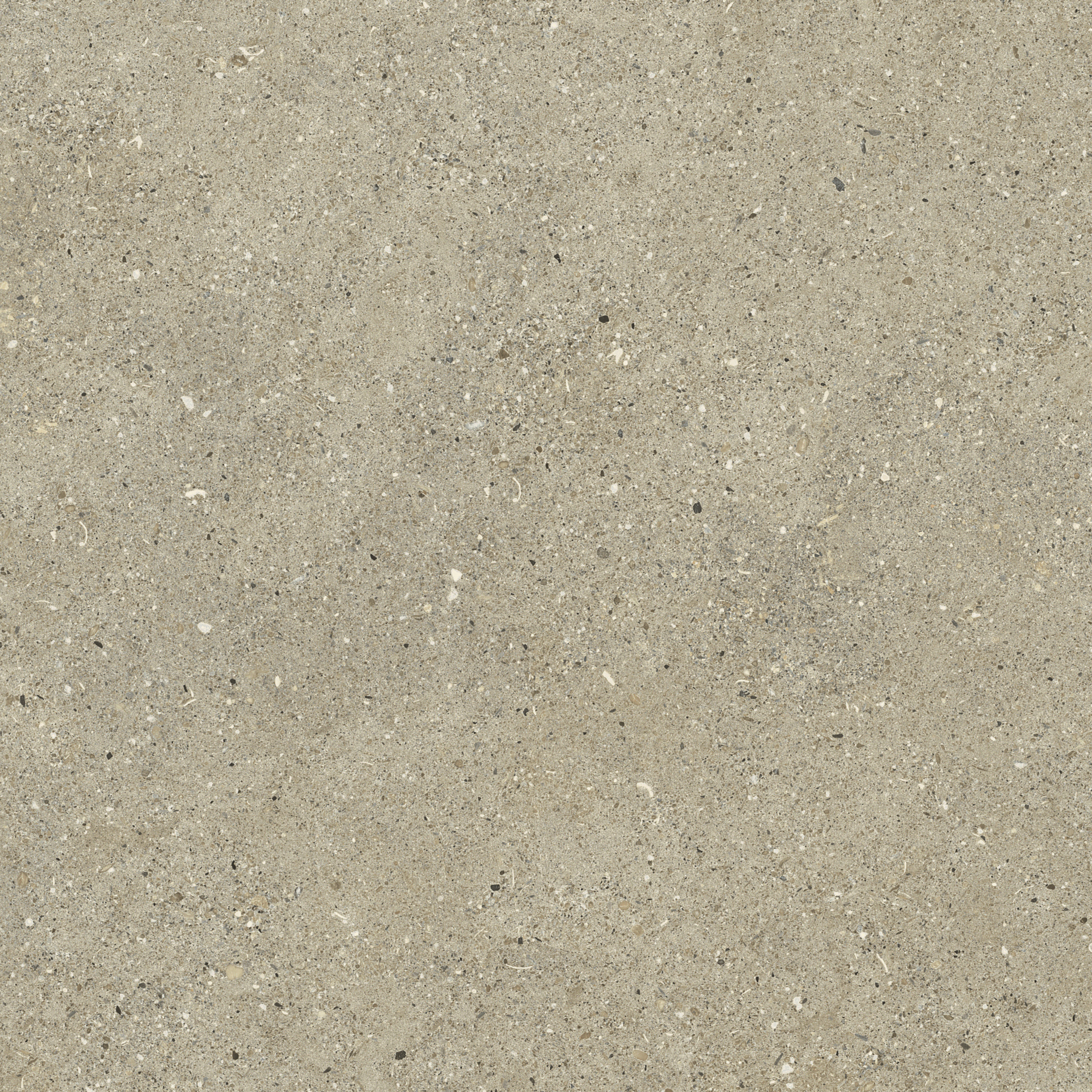 Florris Milano - Fossil - SPC klik vinyl vloer | Mat greige | 40 x 80 cm | Betonlook