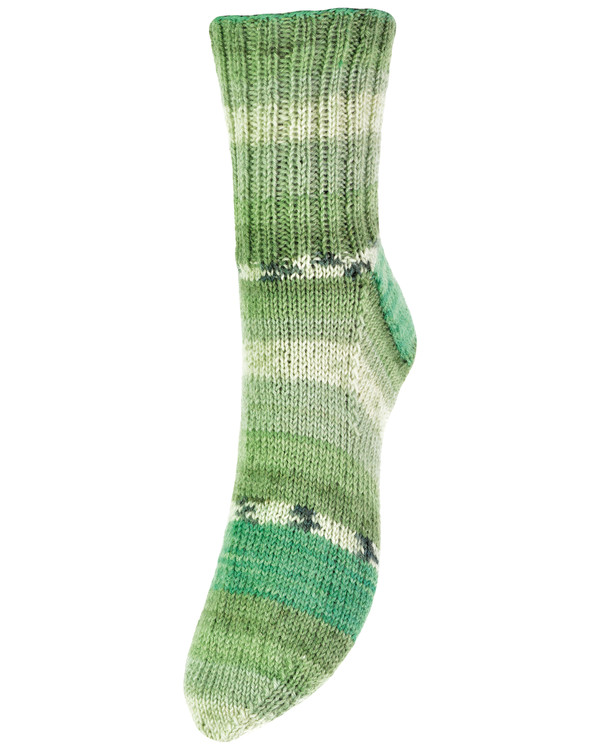 Garn Järbo Bambu Raggi, Aloe print
