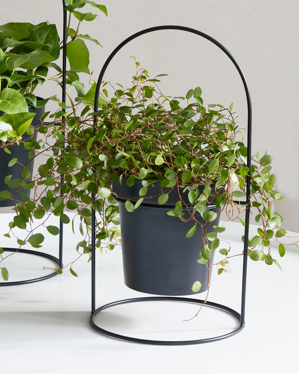 Blomkruka Med Bågformat Stativ, Svart
