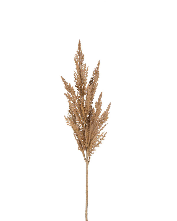 Kunstplante Pampasgress 80 cm, Beige