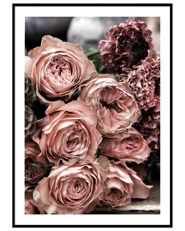 Poster Pink Kahalarose, Rosa