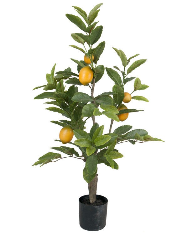 Kunstplante Sitron, Grønn