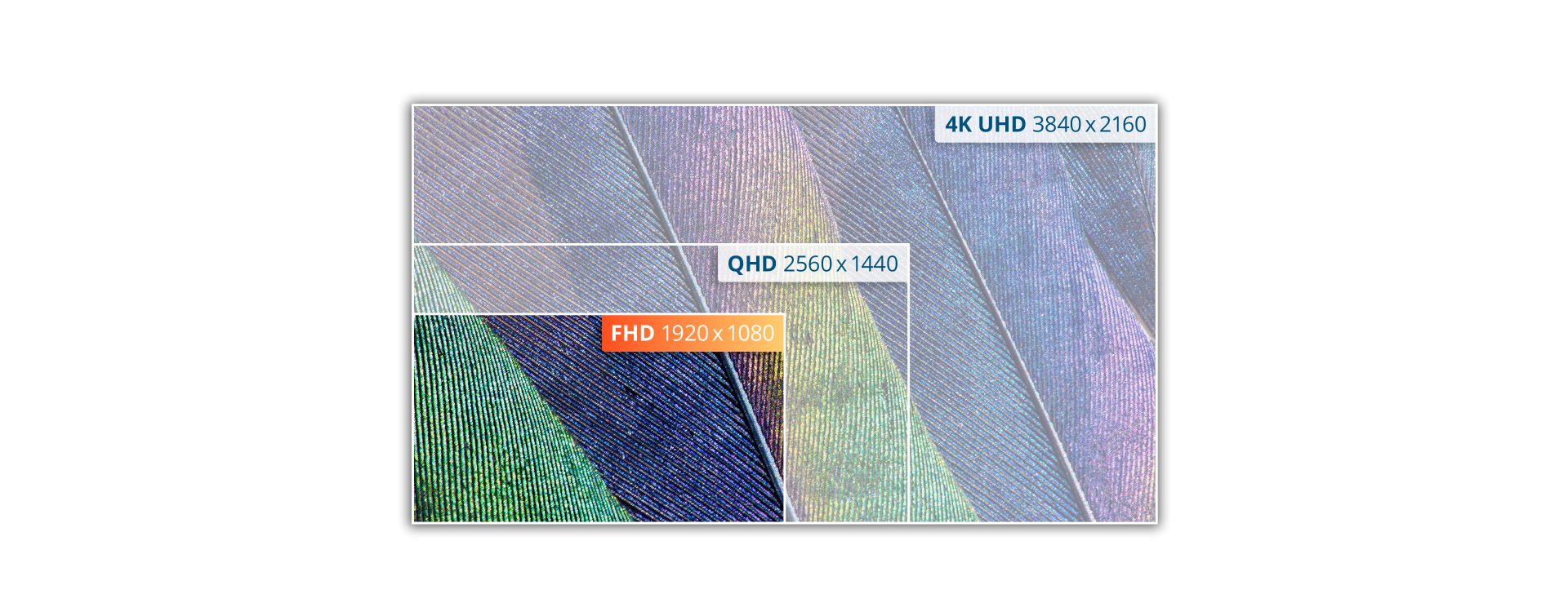 AOC_B2B_C_V2_FHD.png AOC_B2B_C_V2_FHD.png