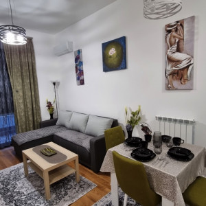apartments beograd centar apartment alek place 13 new minel novi beograd18