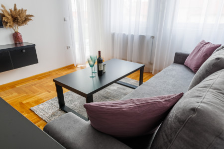 apartmani beograd centar apartman leonida apartman 24