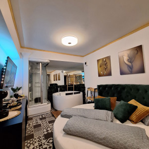 apartments novi sad adamicevo naselje apartment spa apartma villa lord20