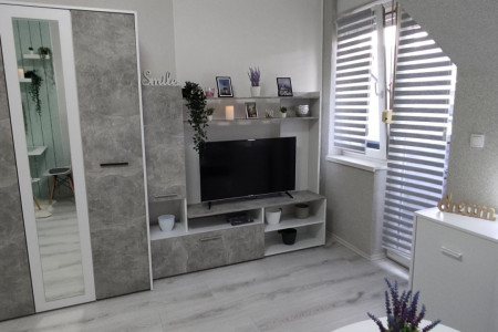 apartmani novi sad adamicevo naselje apartman detelina4