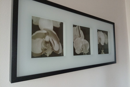 apartments novi sad adamicevo naselje apartment studio marinela3