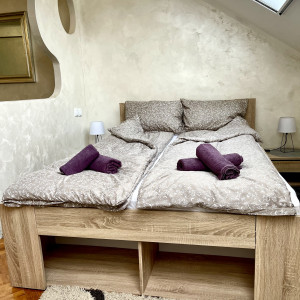 apartments novi sad adamicevo naselje apartment top center3