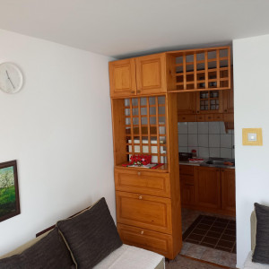 apartmani zlatibor planina apartman medo4