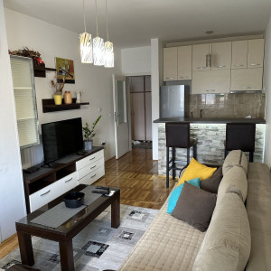 apartmani novi sad adamicevo naselje apartman mega stan 36