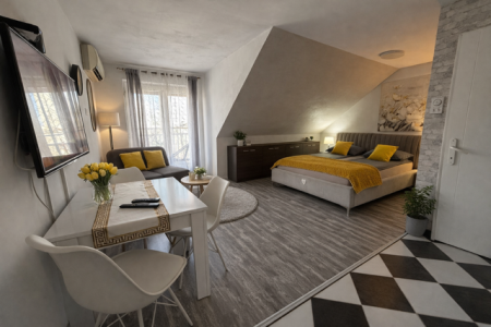 Studio Apartment Marina Penthouse Novi Sad Rotkvarija