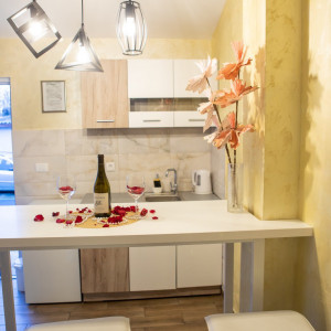 apartments beograd savski venac apartment steco central 13