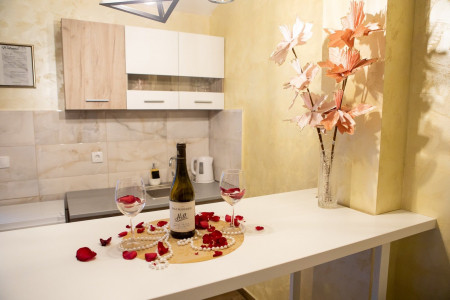 apartmani beograd savski venac apartman steco central 16