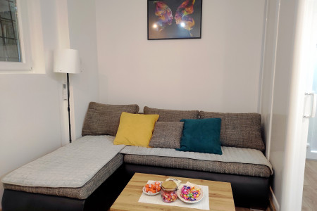 apartments beograd vracar apartment wood5