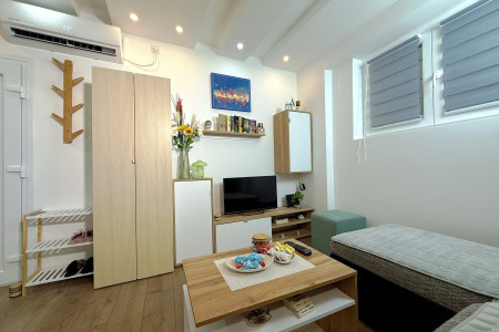 apartmani beograd vracar apartman wood3