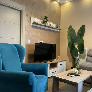 apartmani beograd vracar apartman king milan10