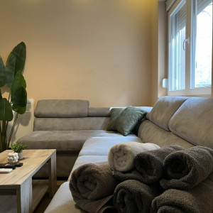 apartmani beograd vracar apartman king milan3