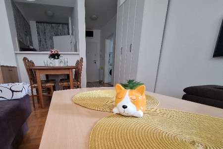 apartmani beograd centar apartman amar 6