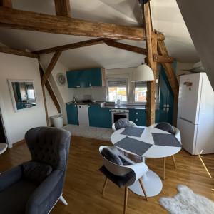 Two Bedroom Apartment Bann 3 Belgrade Center