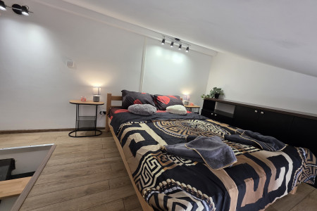 One Bedroom Apartment Radojkovic Belgrade Savski Venac