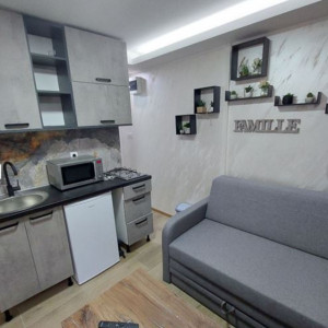 Jednosoban Apartman Radojkovic Beograd Savski Venac