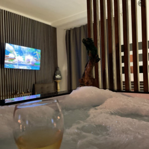 apartmani beograd centar apartman radojkovic spa concept6