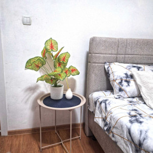 apartments beograd centar apartment city nest slavija10