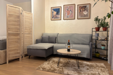 Jednosoban Apartman ViLu NS Novi Sad Petrovaradin