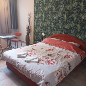 Studio Apartment Studio S1 Belgrade Zemun