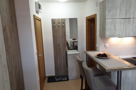 apartments zlatibor okolno mesto apartment safir green4