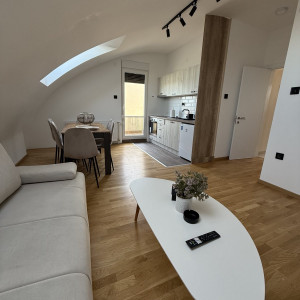 apartmani novi sad adamicevo naselje apartman spring 22