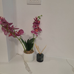 apartmani beograd centar apartman studio kovaceva beo centar9