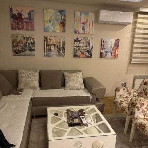 apartments zlatibor okolno mesto apartment safir central15