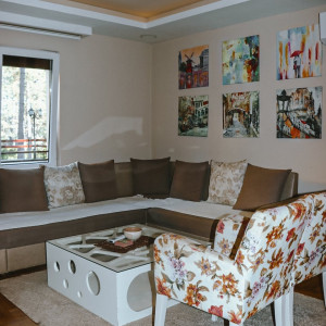 apartments zlatibor okolno mesto apartment safir central9