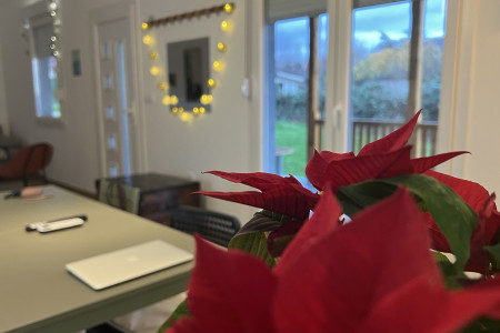 apartmani beograd centar apartman veranda na avali2