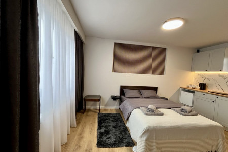 apartments beograd centar apartment surc8n grape vine apartments5