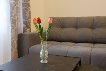 apartmani beograd centar apartman audrey apartman17