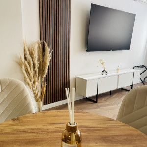 apartmani beograd centar apartman fontana lux apartman2